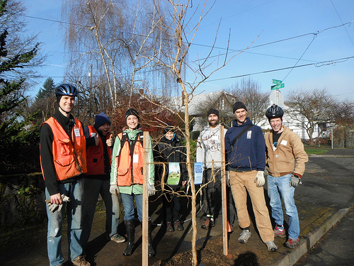 Piedmont – Woodlawn Friends of Trees&nbsp;Planting